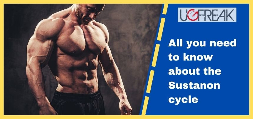 All you need to know about the Sustanon cycle