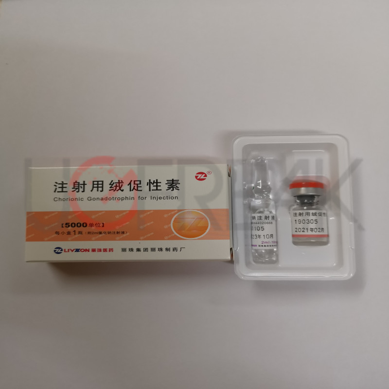 HCG 5000 IU Livzon INTL